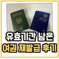 여권-갱신-기간-재발급-후기를 보여주기 위해 기존 여권과 신여권을 함께 보여주고 있다.