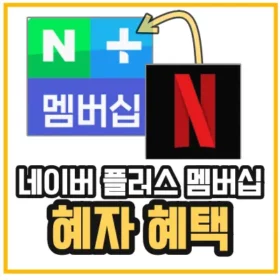 네이버플러스-멤버십-넷플릭스-연결-방법을 알려주기 위해 네이버플러스 멤버십 로고와 넷플릭스 로고를 함께 두어 연결성을 표현했다.