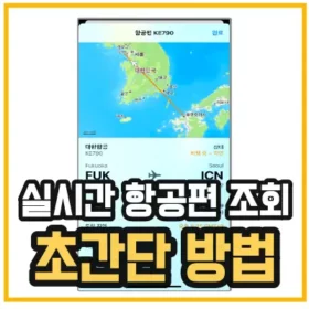 항공편-실시간-항공기-위치-조회-방법